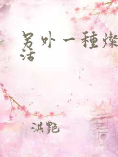 另外一种灿烂生活