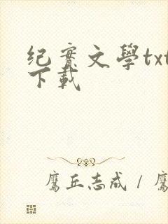 纪实文学txt下载