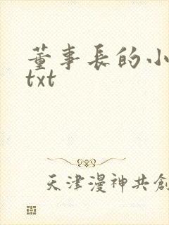 董事长的小王爷txt