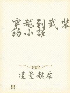 穿越到武装少女的小说