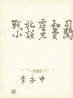 战北霆和司情的小说免费阅读