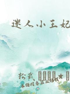 迷人小王妃