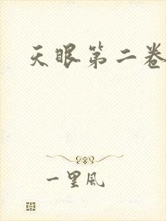 天眼第二卷