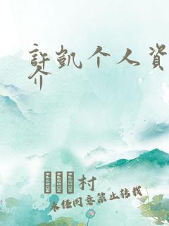 许凯个人资料简介