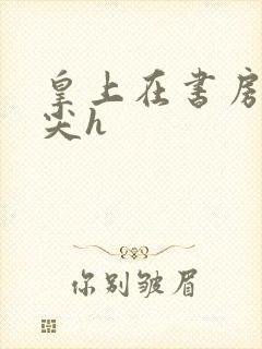 皇上在书房含乳尖h