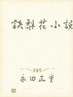 铁梨花小说