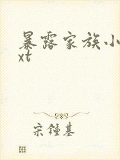 暴露家族小说txt