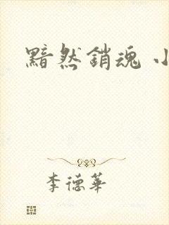 黯然销魂 小说