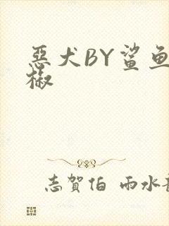 恶犬BY鲨鱼辣椒