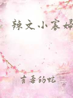 辣文小寡妇