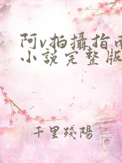 阿v拍摄指南说小说完整版