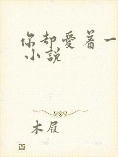 你却爱着一个他 小说