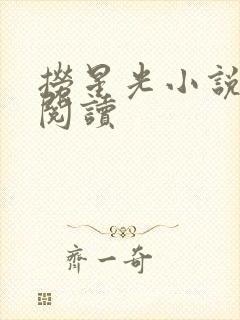 捞星光小说免费阅读