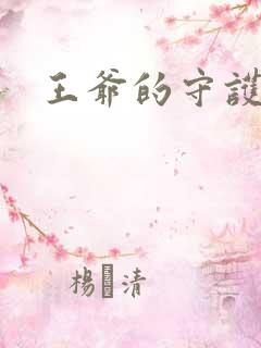 王爷的守护男妃