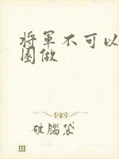 将军不可以在花园做