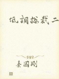 低调总裁二手妻