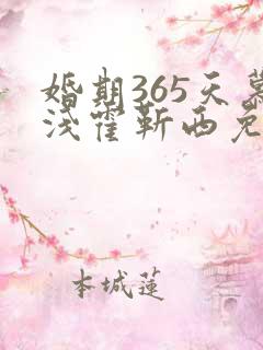 婚期365天慕浅霍靳西免费阅读