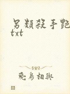 另类杀手艳福星txt