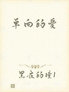 单向的爱