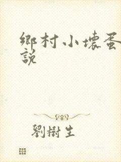 乡村小坏蛋 小说