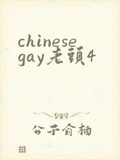 chinesegay老头4