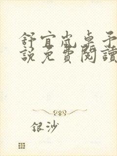 舒宜岚卓予淮小说免费阅读全文