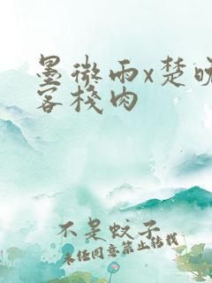 墨微雨x楚晚宁客栈肉