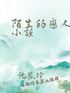 陌生的恋人原著小说