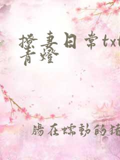 撩妻日常txt青灯