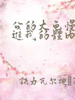 公的大龟慢慢挺进我的体内