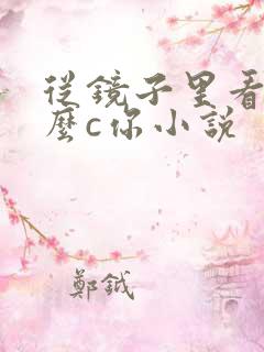 从镜子里看我怎么c你小说