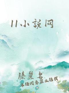 11小说网