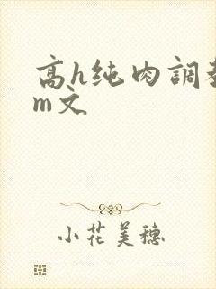 高h纯肉调教sm文