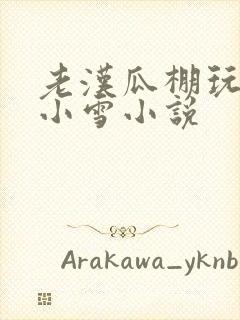 老汉瓜棚玩小丹小雪小说