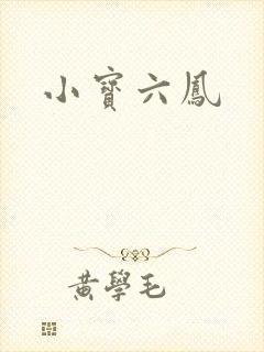 小宝六凤
