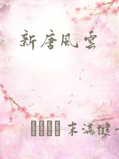 新唐风云