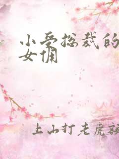 小受总裁的野蛮女佣