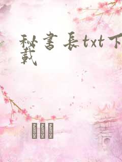 秘书长txt下载