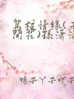 驾校情缘(老树开花)孙潇潇笔趣阁