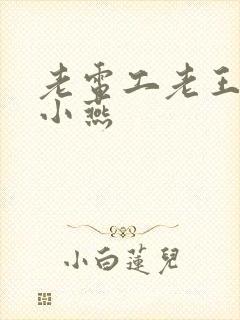 老电工老王和李小燕