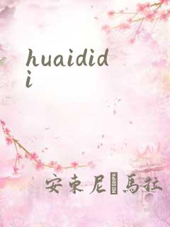 huaididi