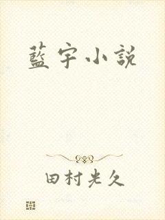 蓝宇小说
