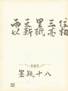 两天里三位将军以新职亮相