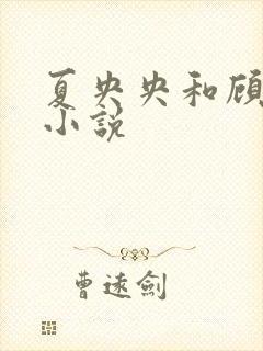 夏央央和顾祁琛小说