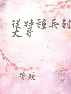 从特种兵到黑道大哥