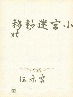 移动迷宫小说txt