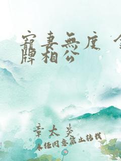 宠妻无度  金牌相公