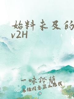 始料未及的软1v2H