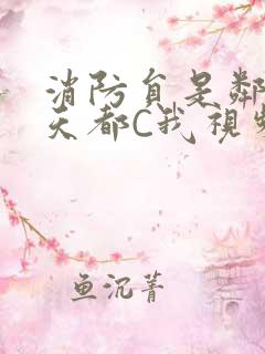 消防员是邻居每天都C我视频