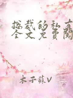 总裁的私有宝贝全文免费阅读